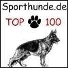 Hier geht´s zu Sporthunde.de TOP 100
